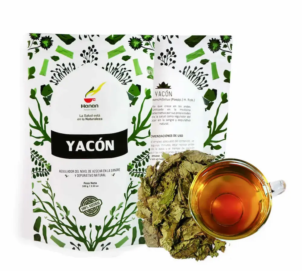 Yacon grande infusion