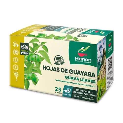 hojas de guayaba filtrante