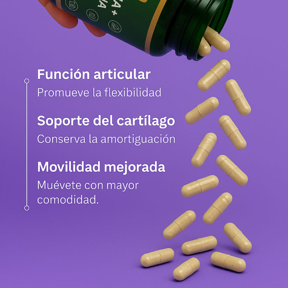 Condroitina-Ecommerce-Imagen-2